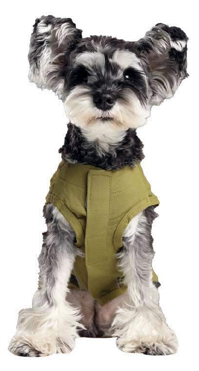 Chill Vest Shirt