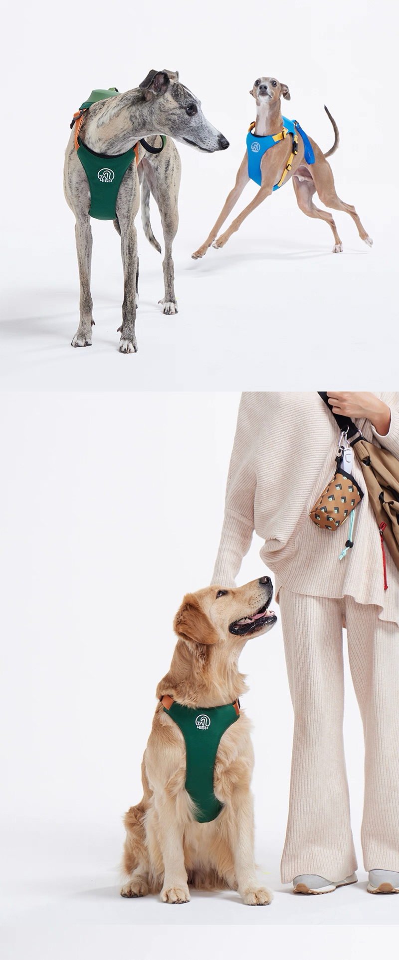 TAILHIGH Imported from Korea — All-in-One No-Pull Harness and Leash Set for Small, Medium, and Large Dogs and Cats