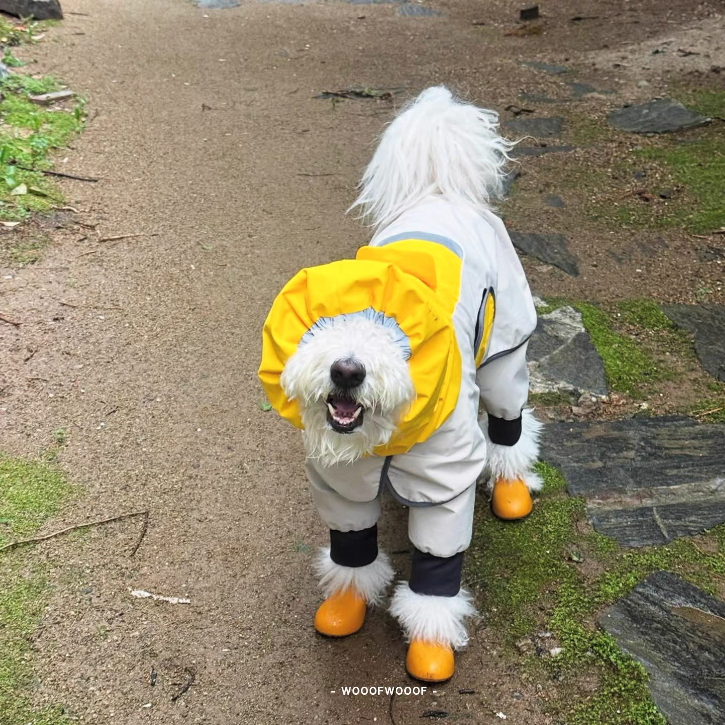 Go2 Raincoat — Tailhigh Korean Pet Outdoor Waterproof Lightweight Jacket for Small, Medium, and Large Dogs & Cats