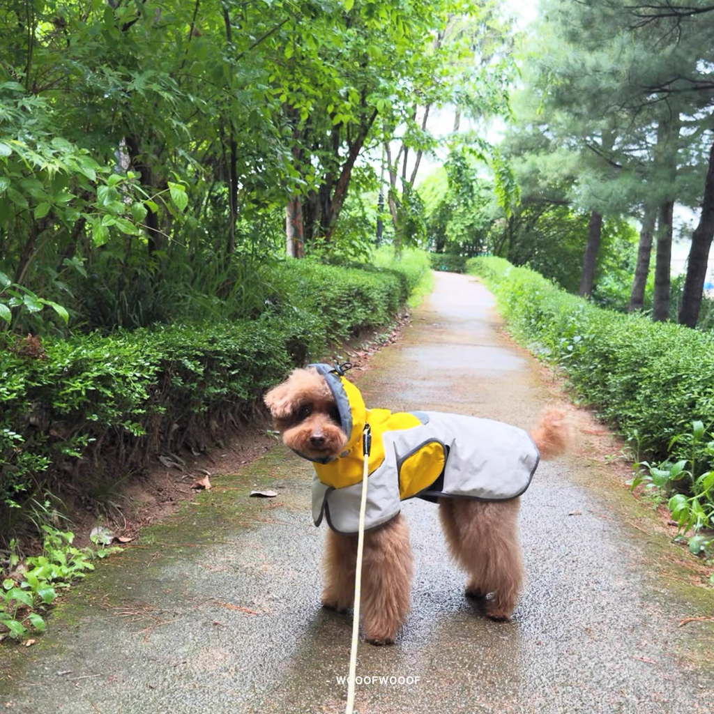 Go2 Raincoat — Tailhigh Korean Pet Outdoor Waterproof Lightweight Jacket for Small, Medium, and Large Dogs & Cats