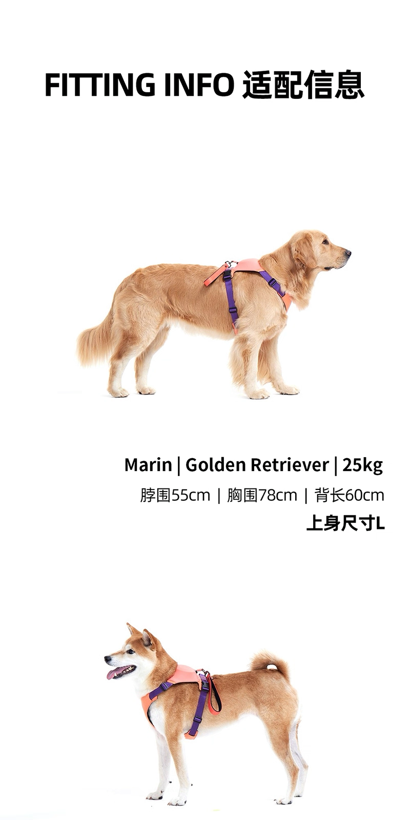 TAILHIGH Imported from Korea — All-in-One No-Pull Harness and Leash Set for Small, Medium, and Large Dogs and Cats