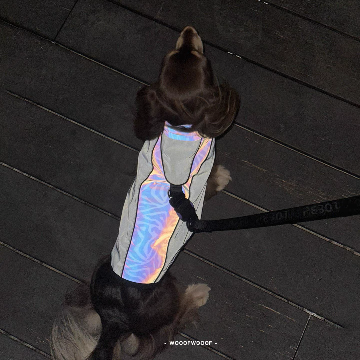 Phantom Night Harness – PEBOT Magnetic Buckle Reflective Pet Harness for Small and Medium Dogs and Cats, Ideal for Night Walks