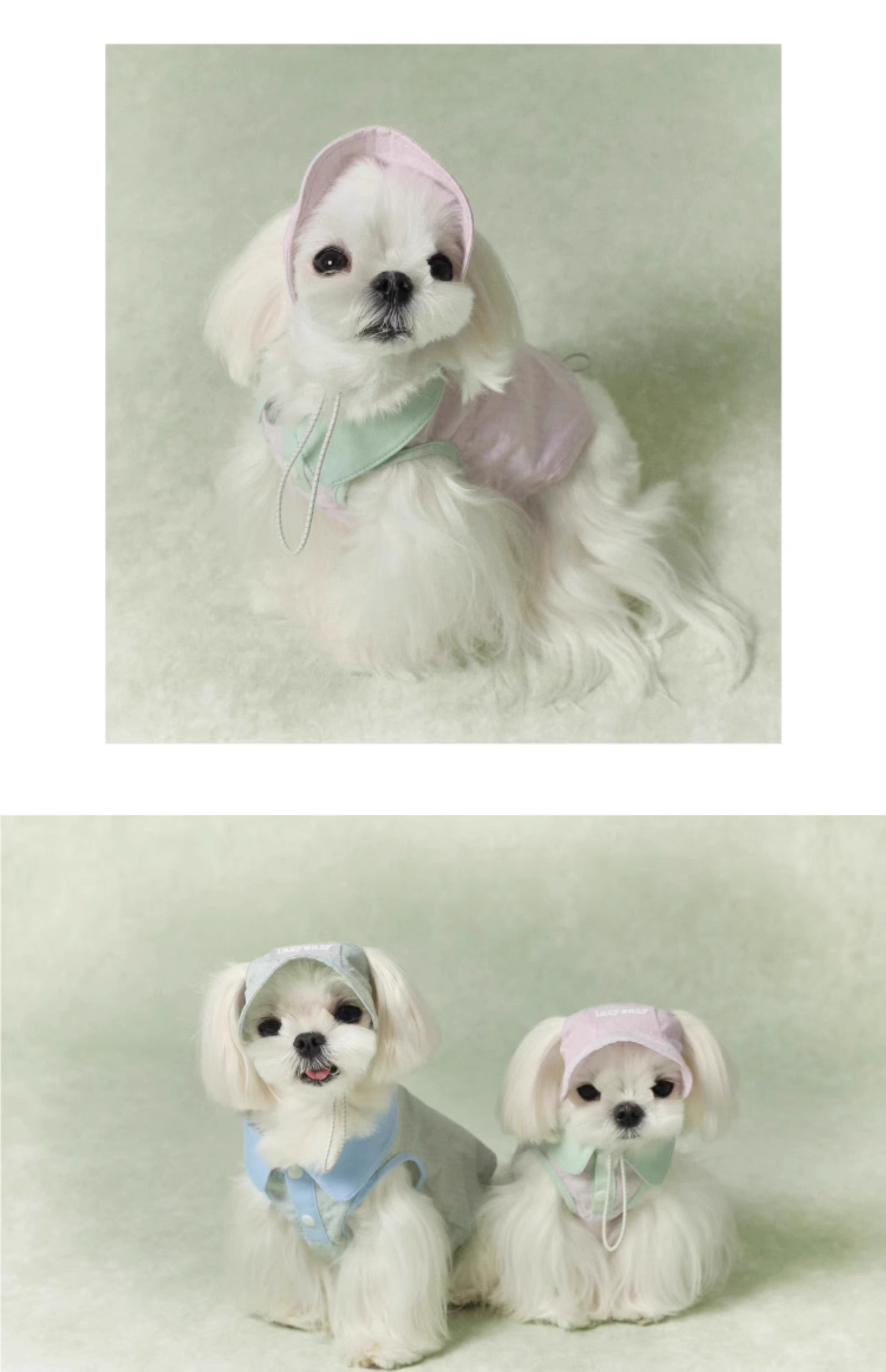 Lazyeazy Colorblock Pet Polo | Summer Lightweight Vest