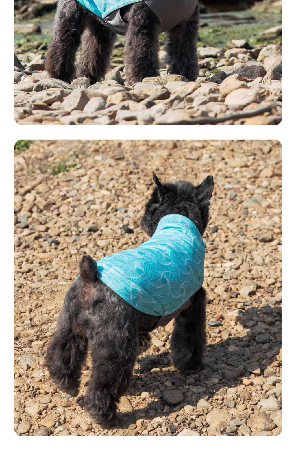 PEBOT Cooling Dog Vest – Anti-Heat Summer Mesh Shirt