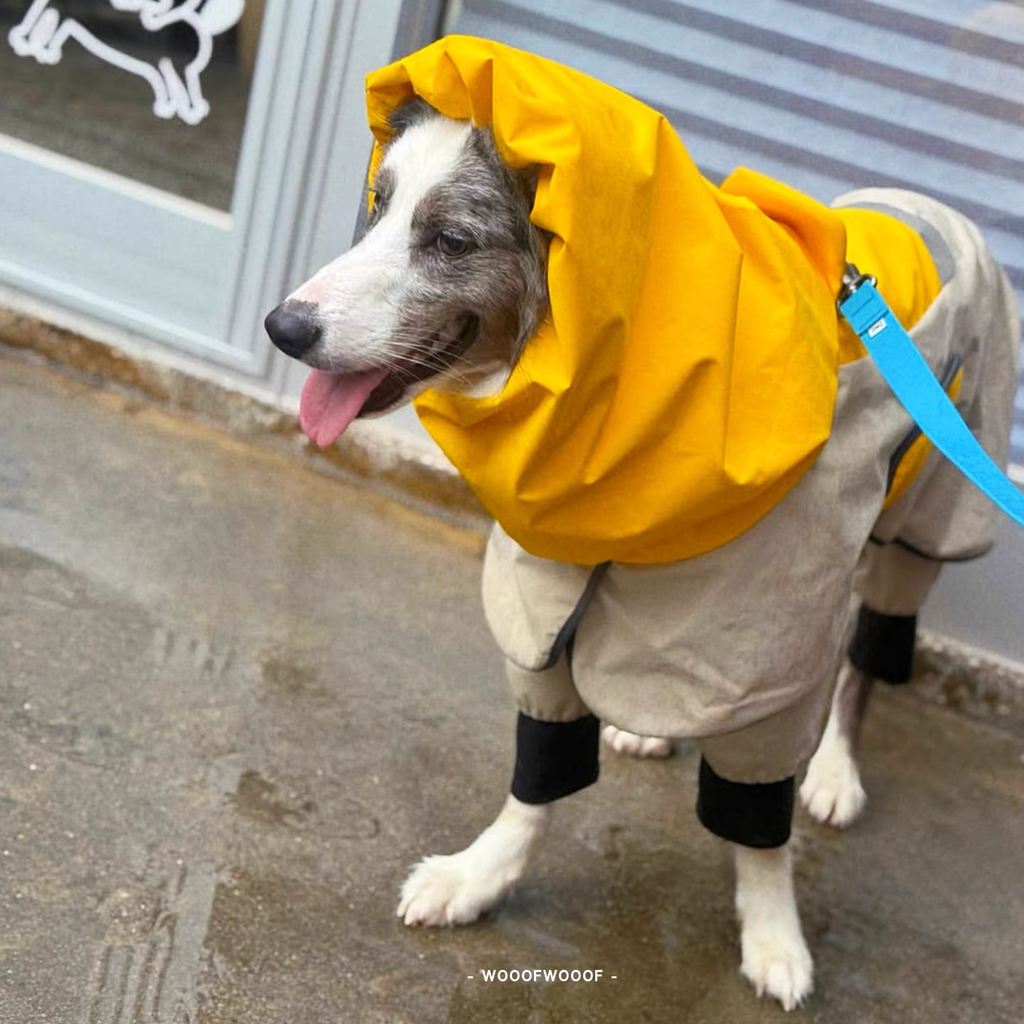 Go2 Raincoat — Tailhigh Korean Pet Outdoor Waterproof Lightweight Jacket for Small, Medium, and Large Dogs & Cats