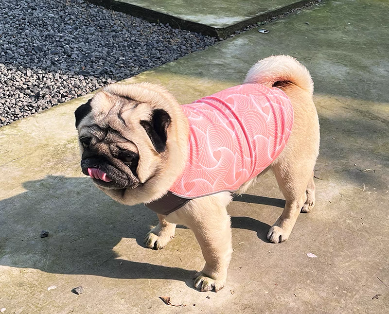PEBOT Cooling Dog Vest – Anti-Heat Summer Mesh Shirt