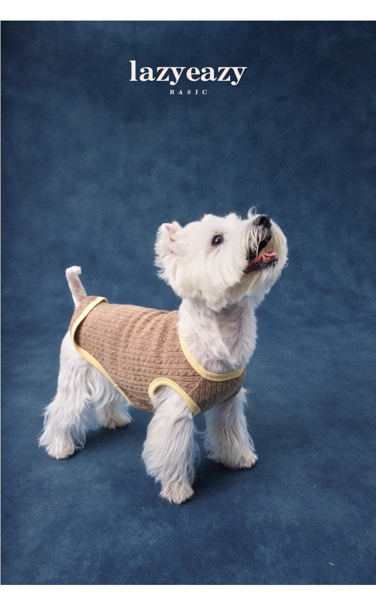 Color-Block Henley Knit Top – Lazyeazy Comfortable and Soft Sweatshirt Base Layer for Small and Medium Dogs and Cats