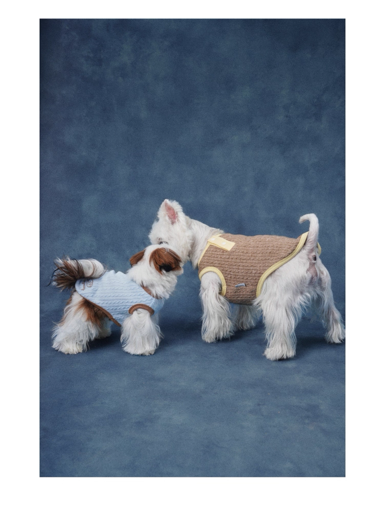 Color-Block Henley Knit Top – Lazyeazy Comfortable and Soft Sweatshirt Base Layer for Small and Medium Dogs and Cats
