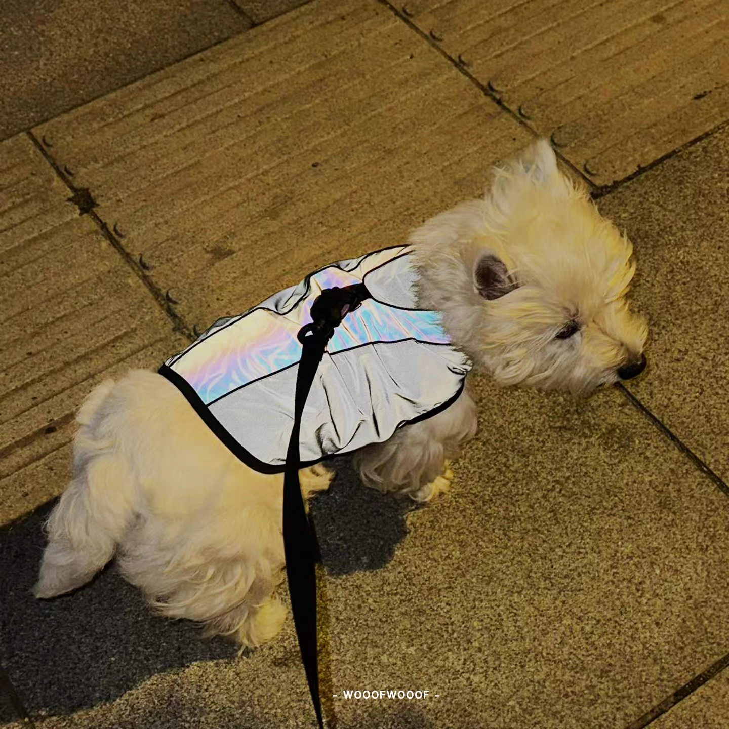 Phantom Night Harness – PEBOT Magnetic Buckle Reflective Pet Harness for Small and Medium Dogs and Cats, Ideal for Night Walks
