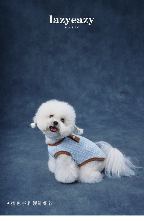 Color-Block Henley Knit Top – Lazyeazy Comfortable and Soft Sweatshirt Base Layer for Small and Medium Dogs and Cats