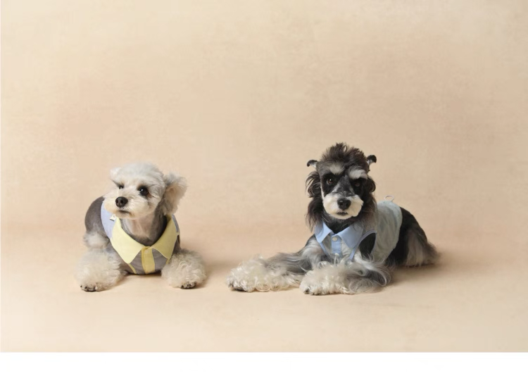 Lazyeazy Colorblock Pet Polo | Summer Lightweight Vest