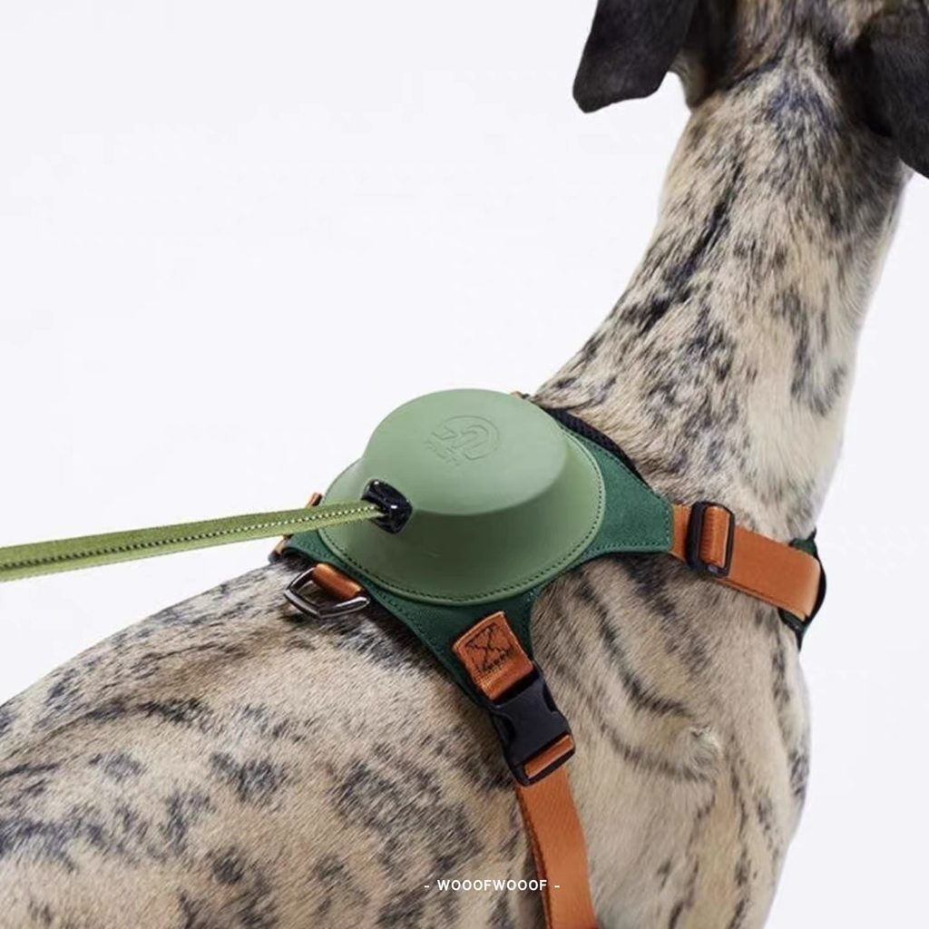 TAILHIGH Imported from Korea — All-in-One No-Pull Harness and Leash Set for Small, Medium, and Large Dogs and Cats