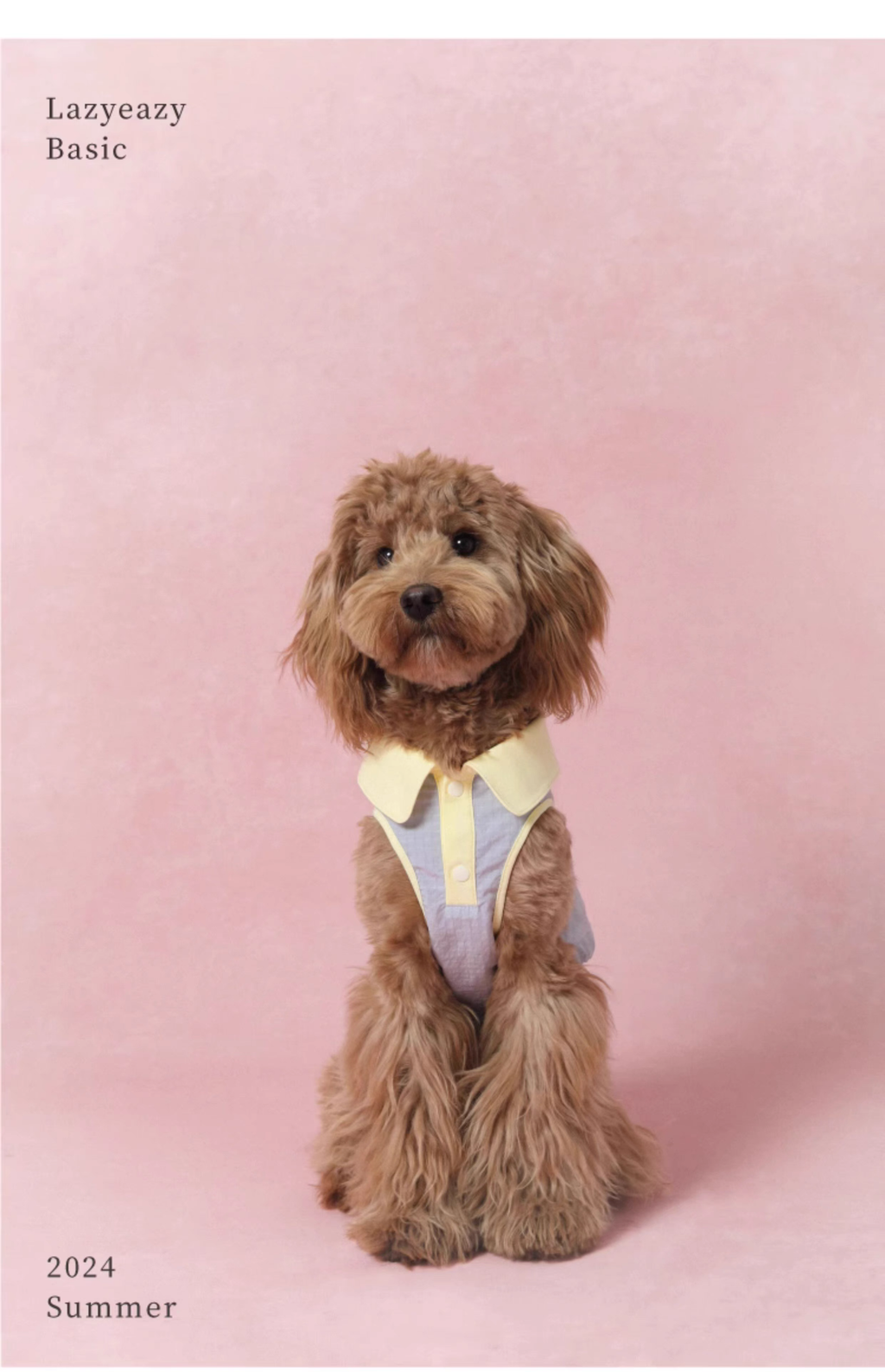 Lazyeazy Colorblock Pet Polo | Summer Lightweight Vest