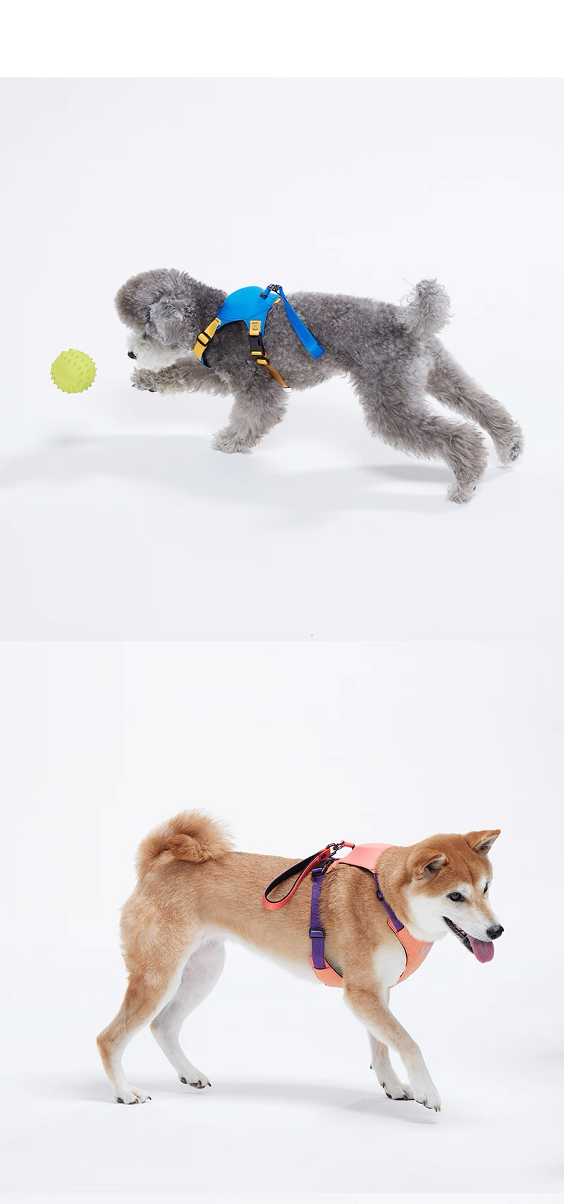TAILHIGH Imported from Korea — All-in-One No-Pull Harness and Leash Set for Small, Medium, and Large Dogs and Cats