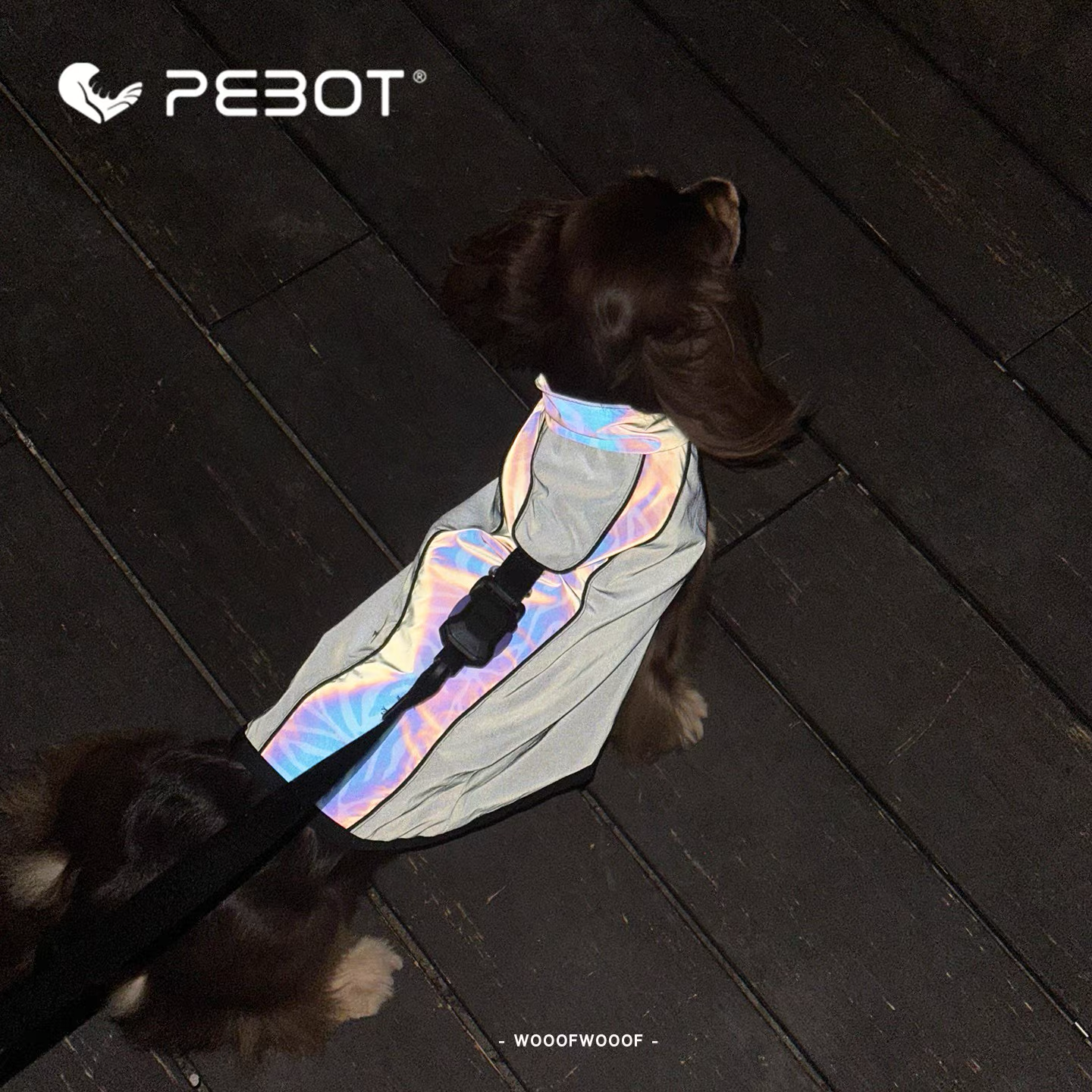 Phantom Night Harness – PEBOT Magnetic Buckle Reflective Pet Harness for Small and Medium Dogs and Cats, Ideal for Night Walks