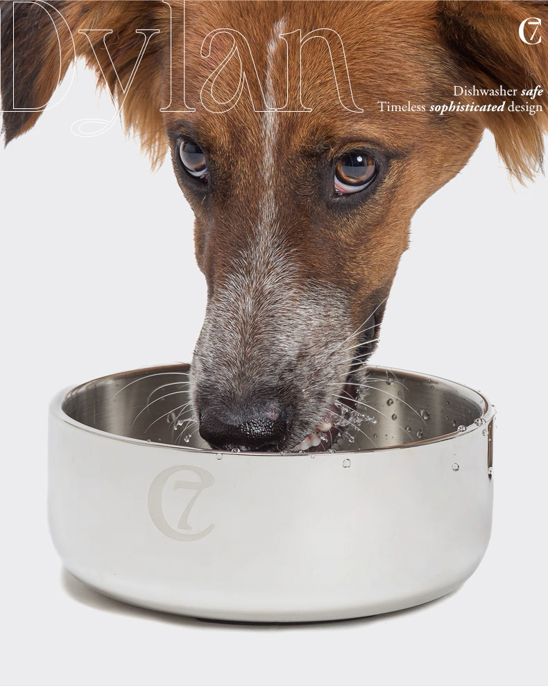 Stainless Steel Bowl – Cloud7 German Imported Pet Feeding Bowl for Cats and Small to Medium Dogs, Anti-Slip Food and Water Dish
