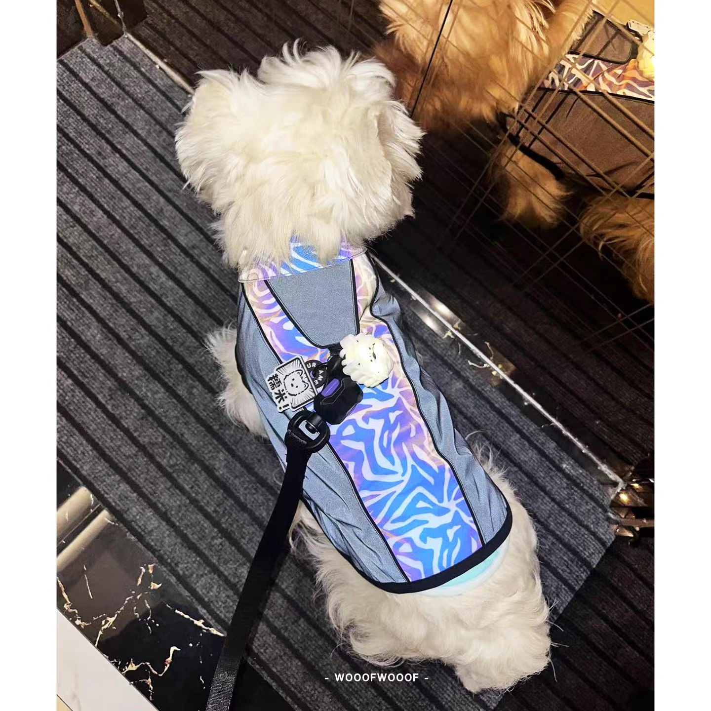 Phantom Night Harness – PEBOT Magnetic Buckle Reflective Pet Harness for Small and Medium Dogs and Cats, Ideal for Night Walks