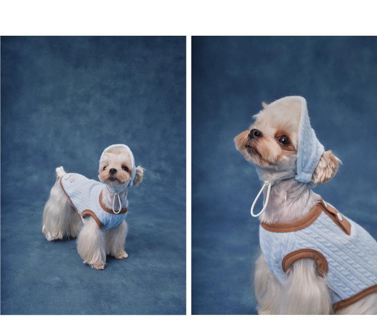 Color-Block Henley Knit Top – Lazyeazy Comfortable and Soft Sweatshirt Base Layer for Small and Medium Dogs and Cats