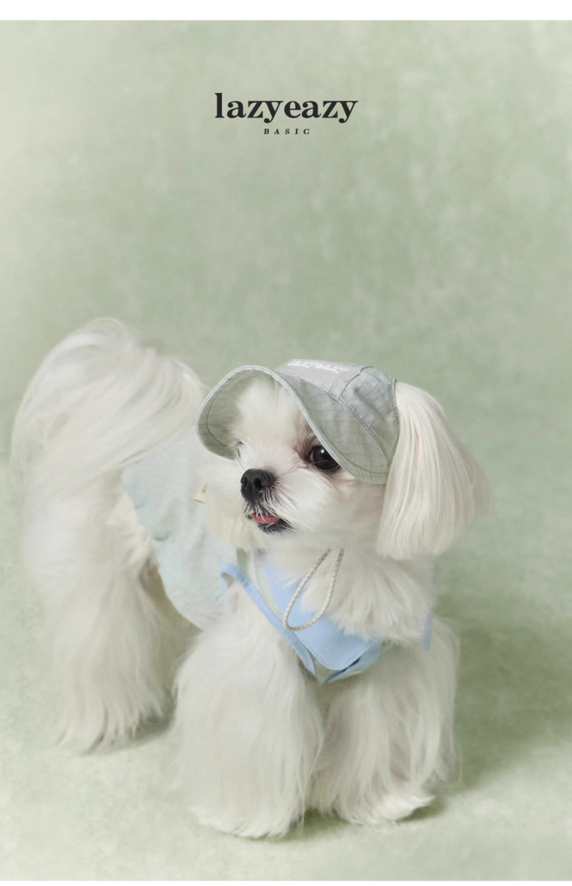 Lazyeazy Colorblock Pet Polo | Summer Lightweight Vest