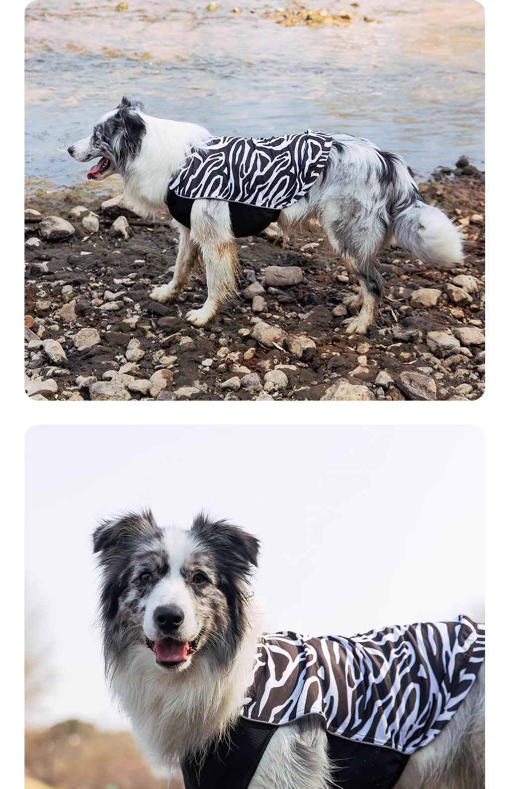 PEBOT Cooling Dog Vest – Anti-Heat Summer Mesh Shirt